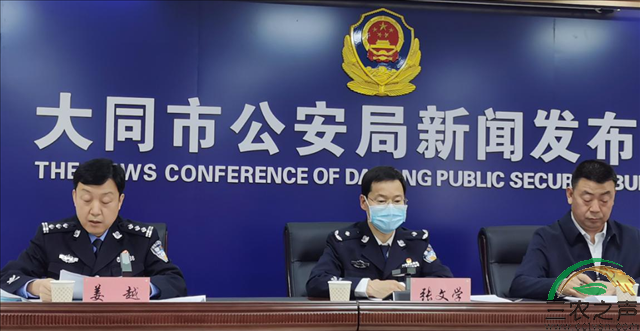 图片13.png