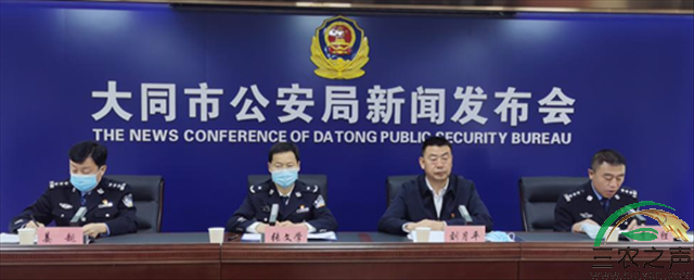 图片11.png