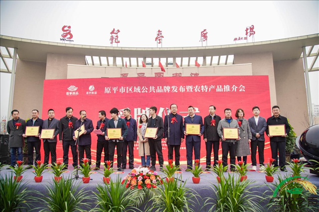 图片10.png