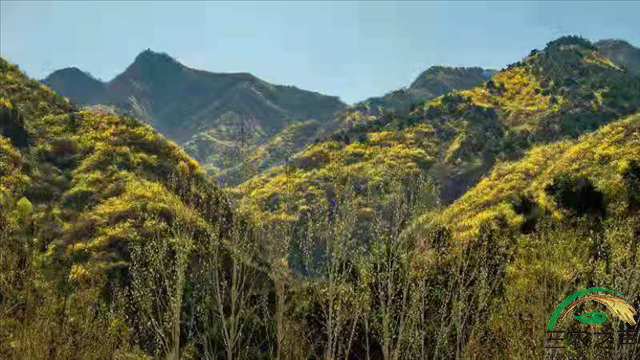 资溪莒洲村第一书记张银华：心系贫困户 情洒扶贫村