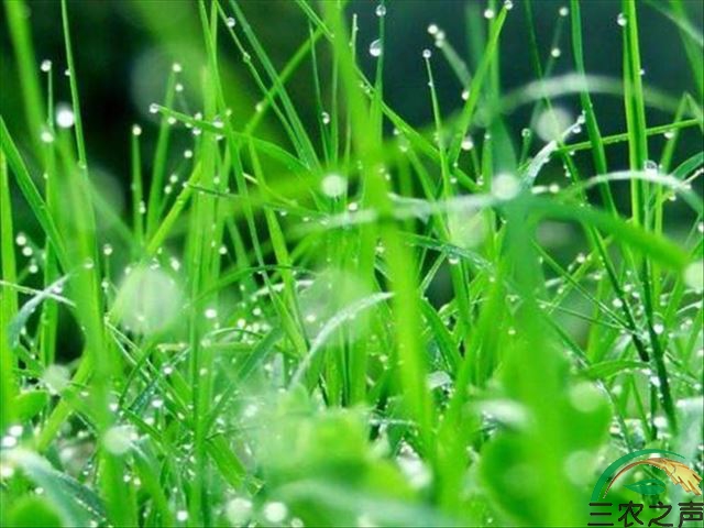 u=2502870906,437104476&fm=26&gp=0.jpg