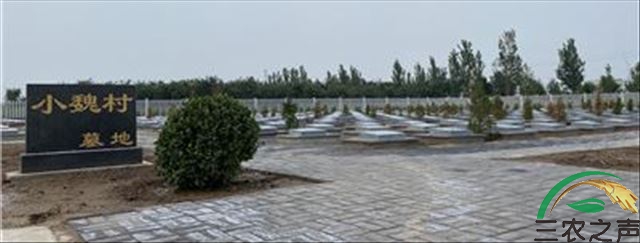 1bf9-kmrcukz0282551.jpg