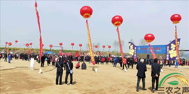 图片27.png