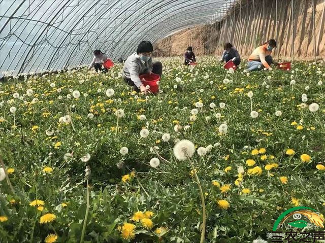 微信图片_20210514073921.jpg
