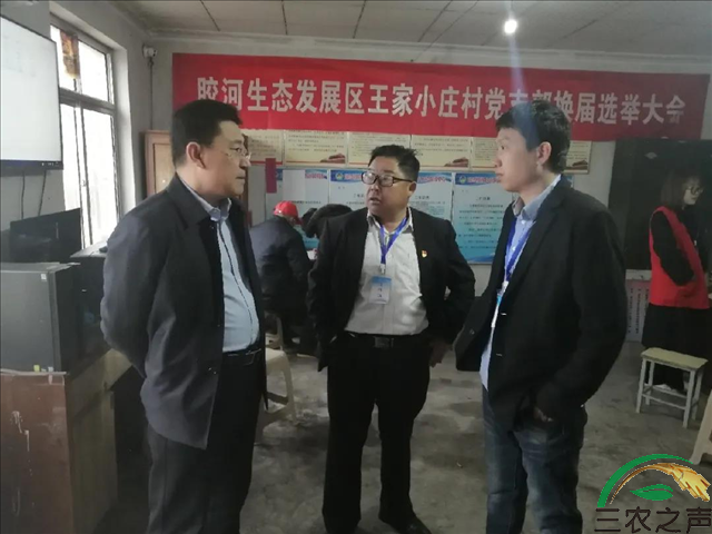 图片19.png