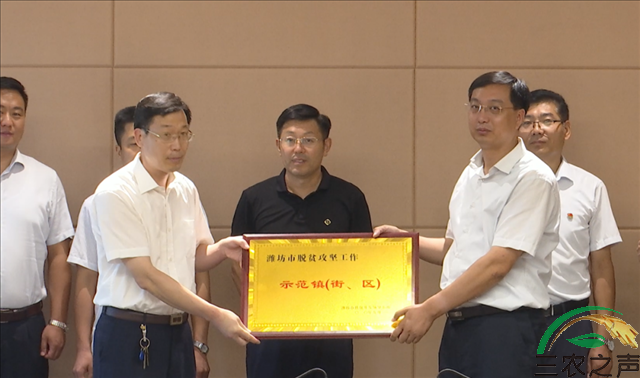 图片17.png