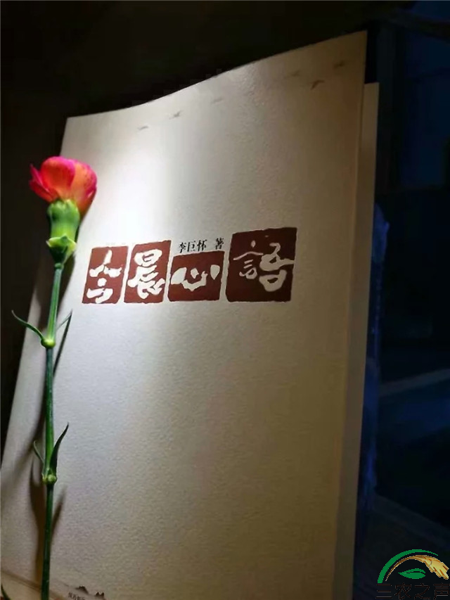 图片8.png