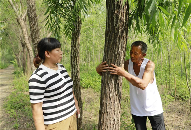 图片12.png
