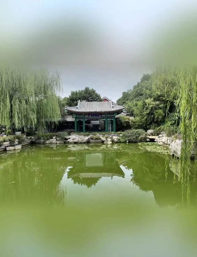 图片33.png