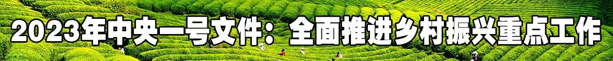 全面推进乡村振兴.jpg