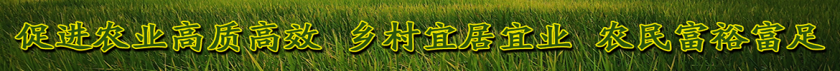 87817f0de9d6607bc72af00f3b78d82a.png