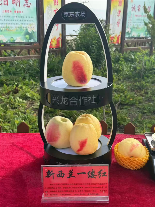 图片3.png 图片3.png