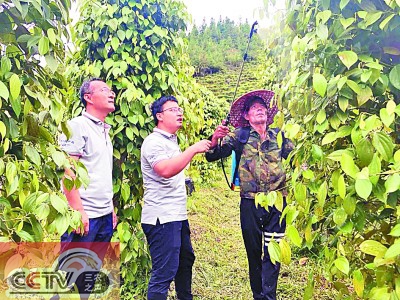 产业致富 教育强心——重庆大学对口扶贫云南绿春掠影