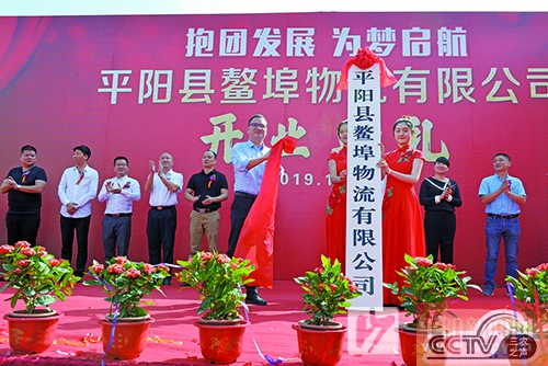 党旗飘扬在一线｜麻步镇以“党建+”绘就农村发展致富图