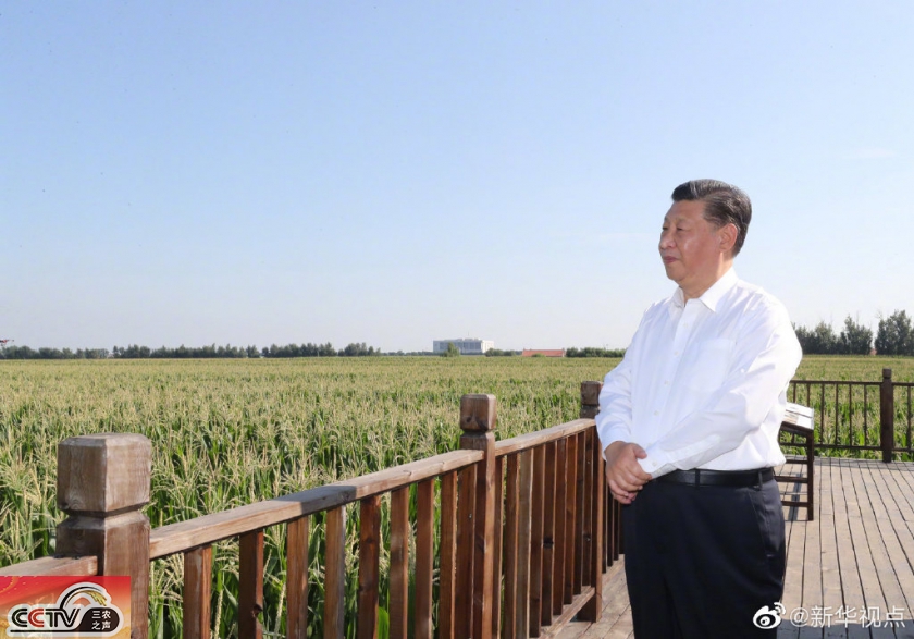三农观察：总书记脚下的这片黑土地，你了解多少？