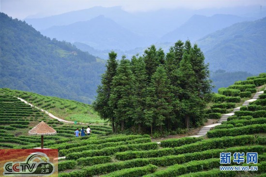 话说新农村：八个人咋种好千顷地