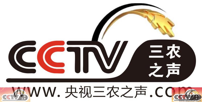 就中尼建交65周年习近平同尼泊尔总统班达里互致贺电