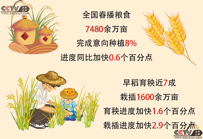 中国会出现粮食危机吗？数据告诉你