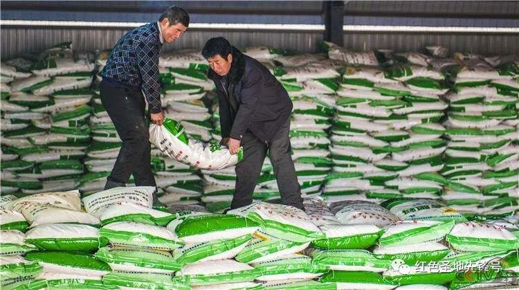 热线电话暖民心——全国春耕农资应急调度保供纪实