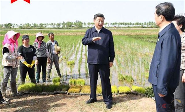 总书记提出的农业节水化，路在何方？