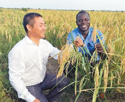 “一带一路”农业国际合作难题如何破解？这四条建议很实用