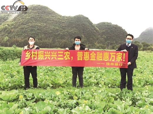 桂林银行柳州分行： 乡村振兴兴“三农”，普惠金融惠万家 