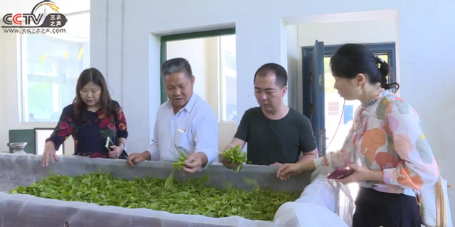 王长春：老百姓舌尖上的“安全卫士”