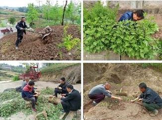 逆行山乡待花开——扶贫路上的“第一书记”谢亚氚