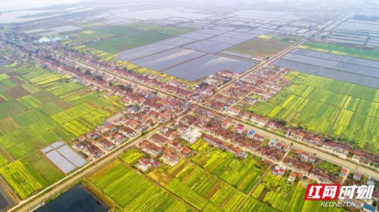 湖南：着力“三农”现代化 泼墨“乡村富美图”