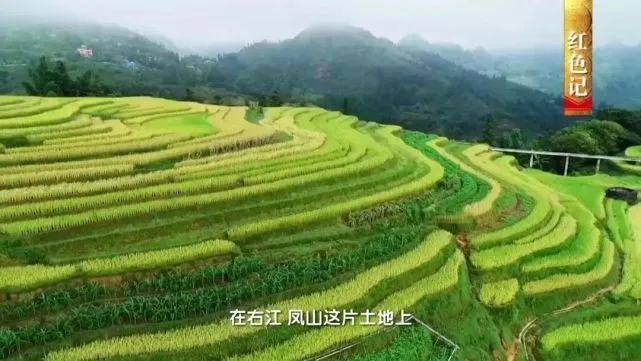 小辣椒撑起大产业