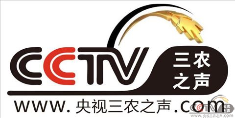 白酒板块“酒香”难散，“喝酒”行情还能火多久？
