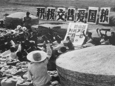 农民养老金只有150元,难道白交了20年公粮吗?专家这样解释!