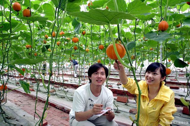 插上“品质电商”的翅膀 看岳阳农产品如何乘“云”而起