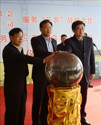 协作单位