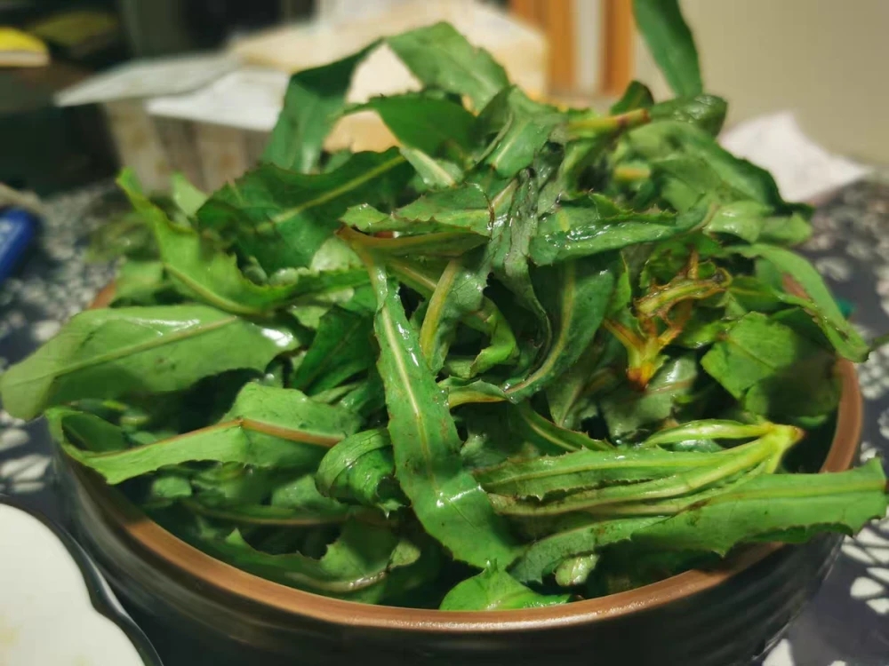 8月不吃就成“杂草”，以前穷人的救命菜，排出毒素，三伏天更精神