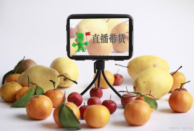 安徽铜陵半年全市农产品网销额突破2亿元