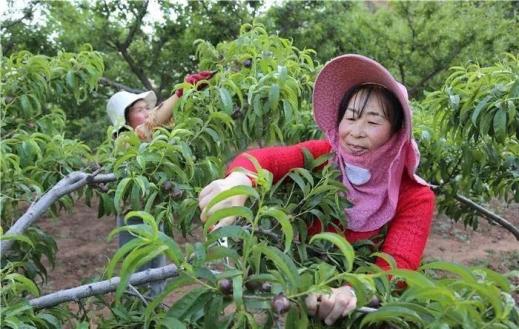 人民日报关注云南基层改革 鼓励更多优秀人才投身村两委工作