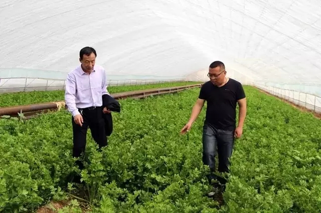 80后创业新星辞高薪工作返乡，为老山村带来新活力