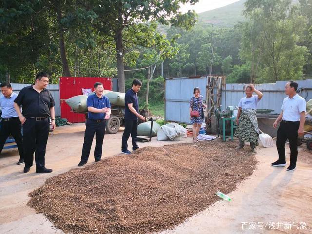 范家庄村的“最美书记”孙艳丽