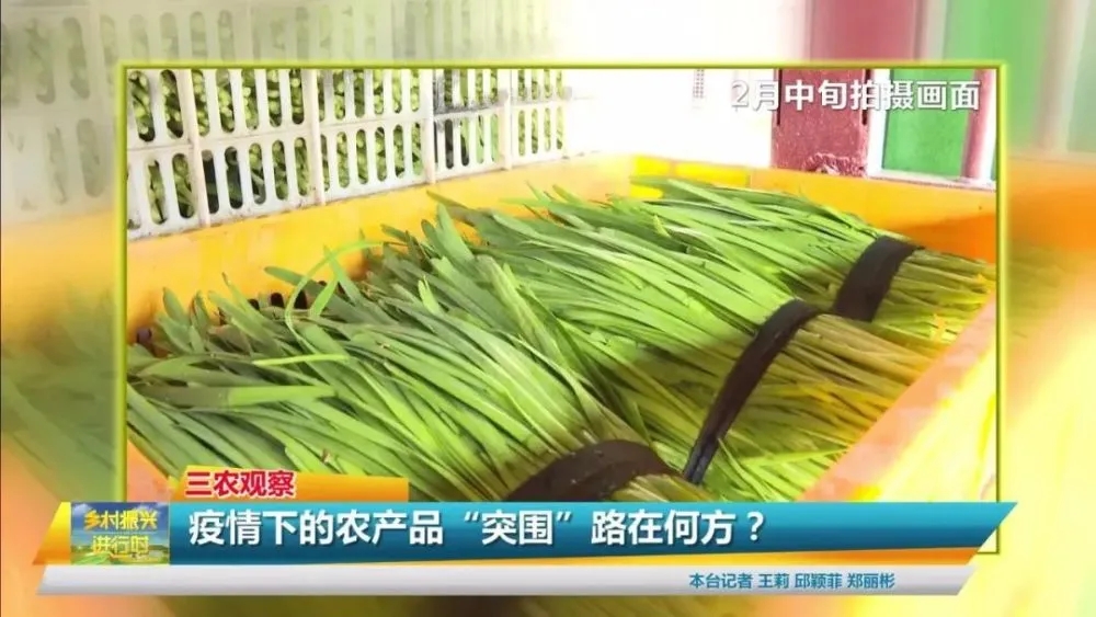 疫情影响下的农产品“突围”路在何
