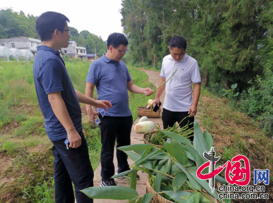 发挥人才优势，成职智力帮扶推动牛角溪乡村振兴
