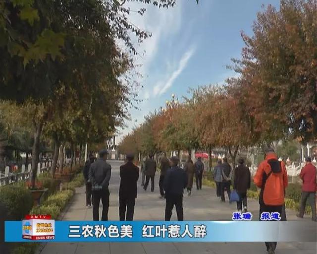 新民融媒：三农秋色美，红叶惹人醉