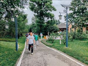 山水田园，成新晋网红打卡地