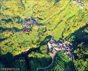 浙江仙居：山水田园景如画 梯田文化助致富