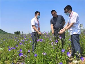 “三农”金融活水“不断流” 哈尔滨银行用情怀做金融惠农主力军