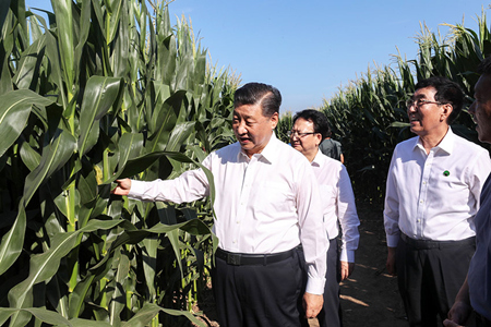 掀起节约“新食尚” 习近平总书记知之深行之远