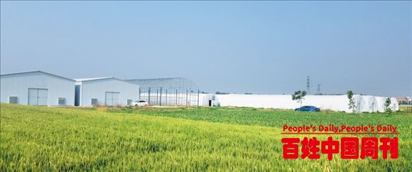探新路加速度：河南省光山县槐店乡刘高山村产业振兴调查