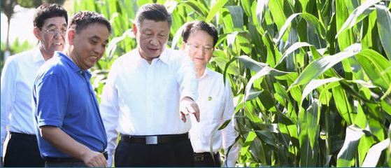 今年以来，习近平走进田间地头最牵挂群众这些事