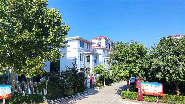 河南省新乡县：支书热衷”副业”，村民人人乐业