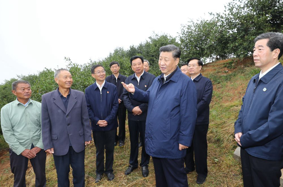 三农之声：农业强 农村美 农民富 习近平这样关心三农问题